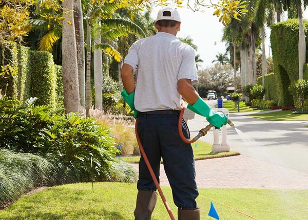 About Spanish Fork UT Pest Control Pros